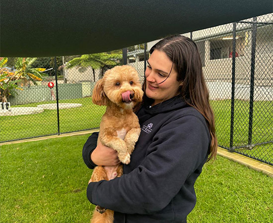 A dog enjoys personal cuddles with a Pet Nanny at Ingleside Doggy Daycare