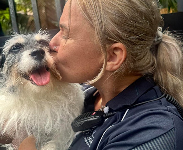 Individual Attention & Training Options