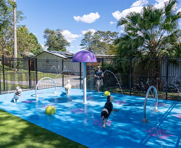 Afternoon Exploration