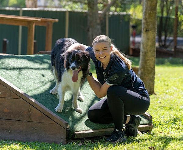 Individual Attention 