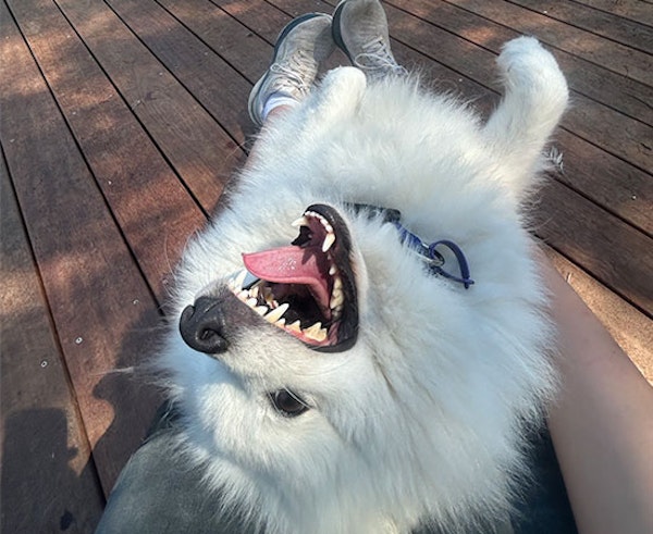 Individual Attention