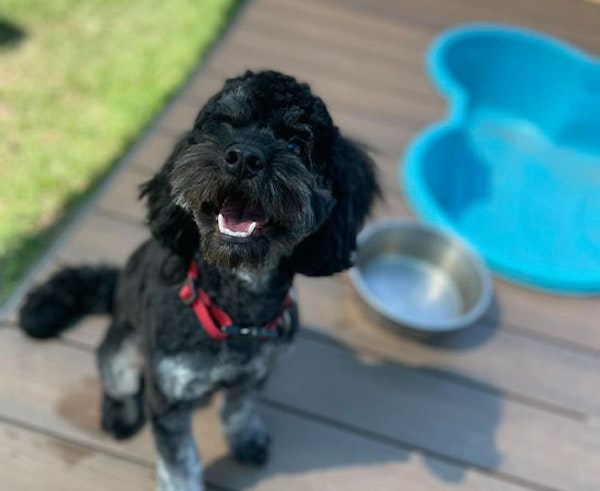 Afternoon Exploration