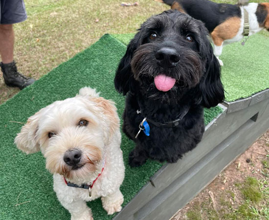 Morning play & social time