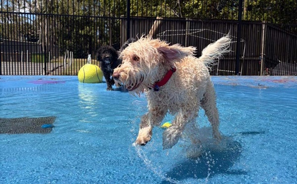 Bayside & South Brisbane: Gumdale Pet Resort