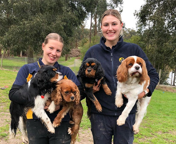 Individual Attention