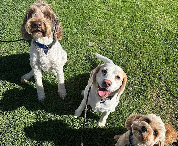 Afternoon Exploration