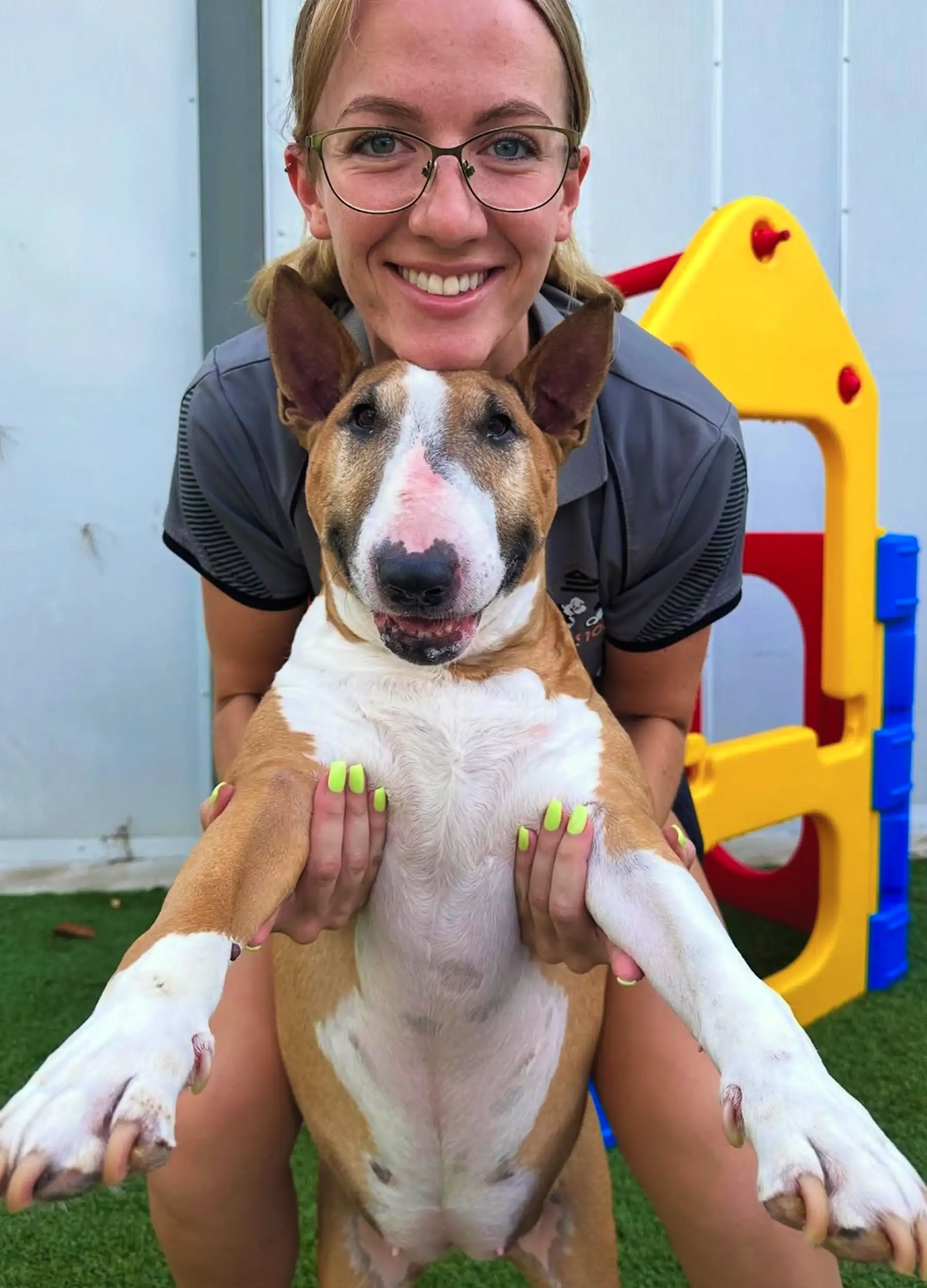 Booking Your Pet Taxi to Duffys Forest