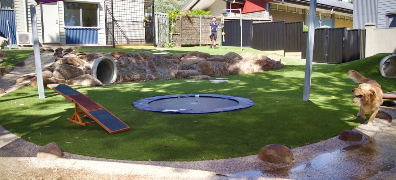 Dog Boarding Melbourne