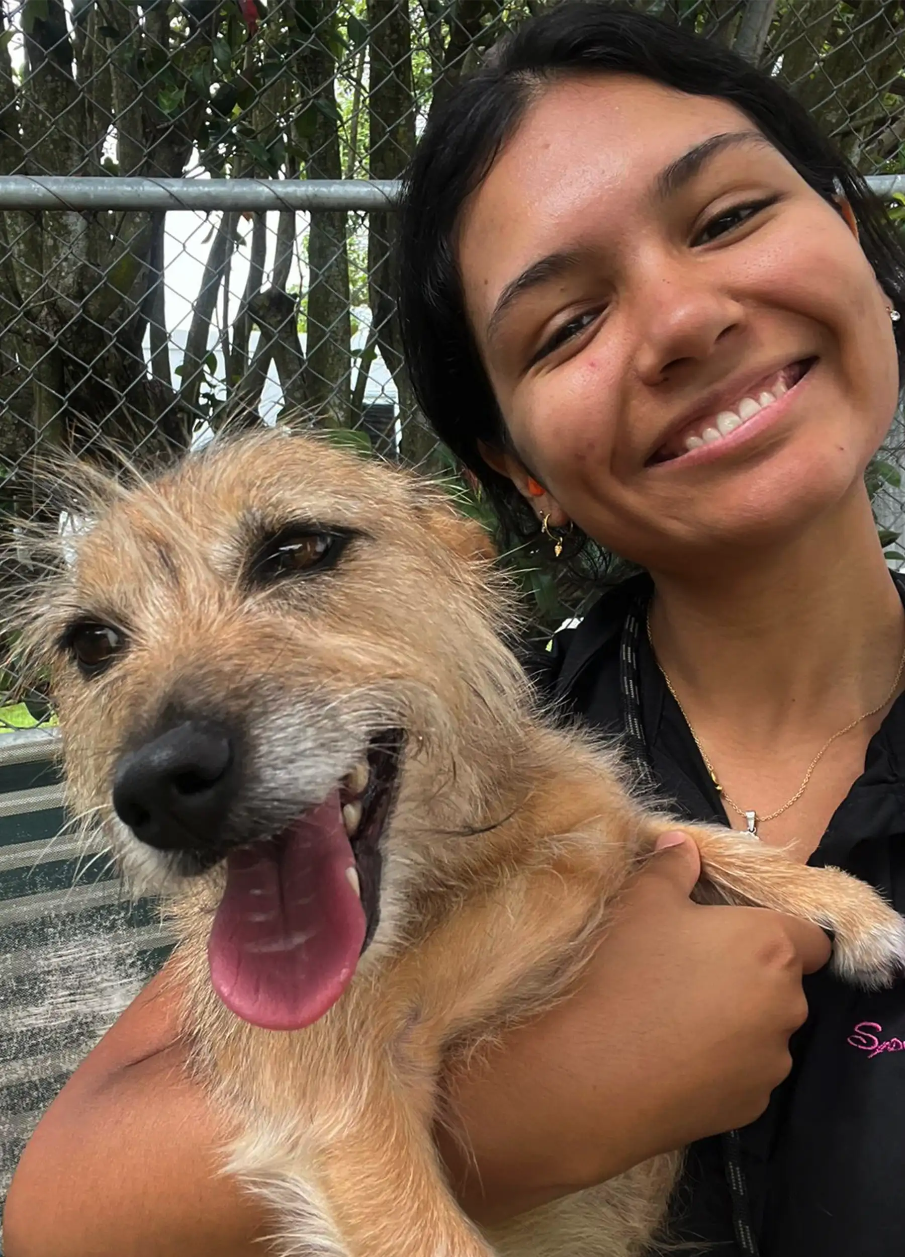 Booking Your Pet Taxi to Dural