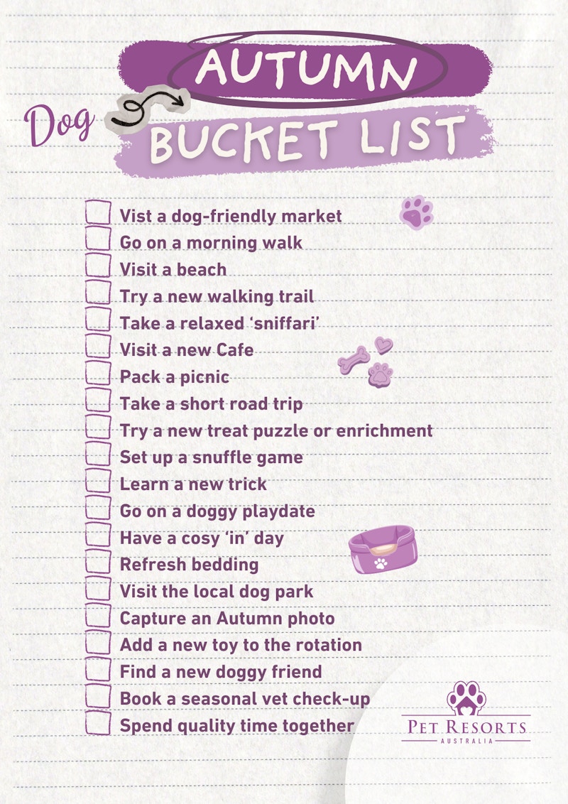 A bucket list for fun Autumn things to do with your dog
