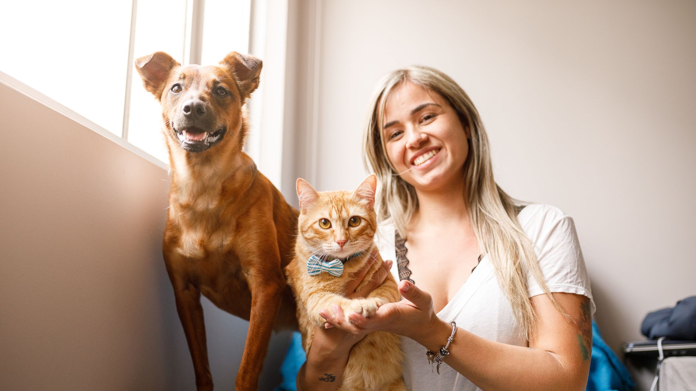 A woman sitting with a tabby cat and a dog, all are relaxed and happy
