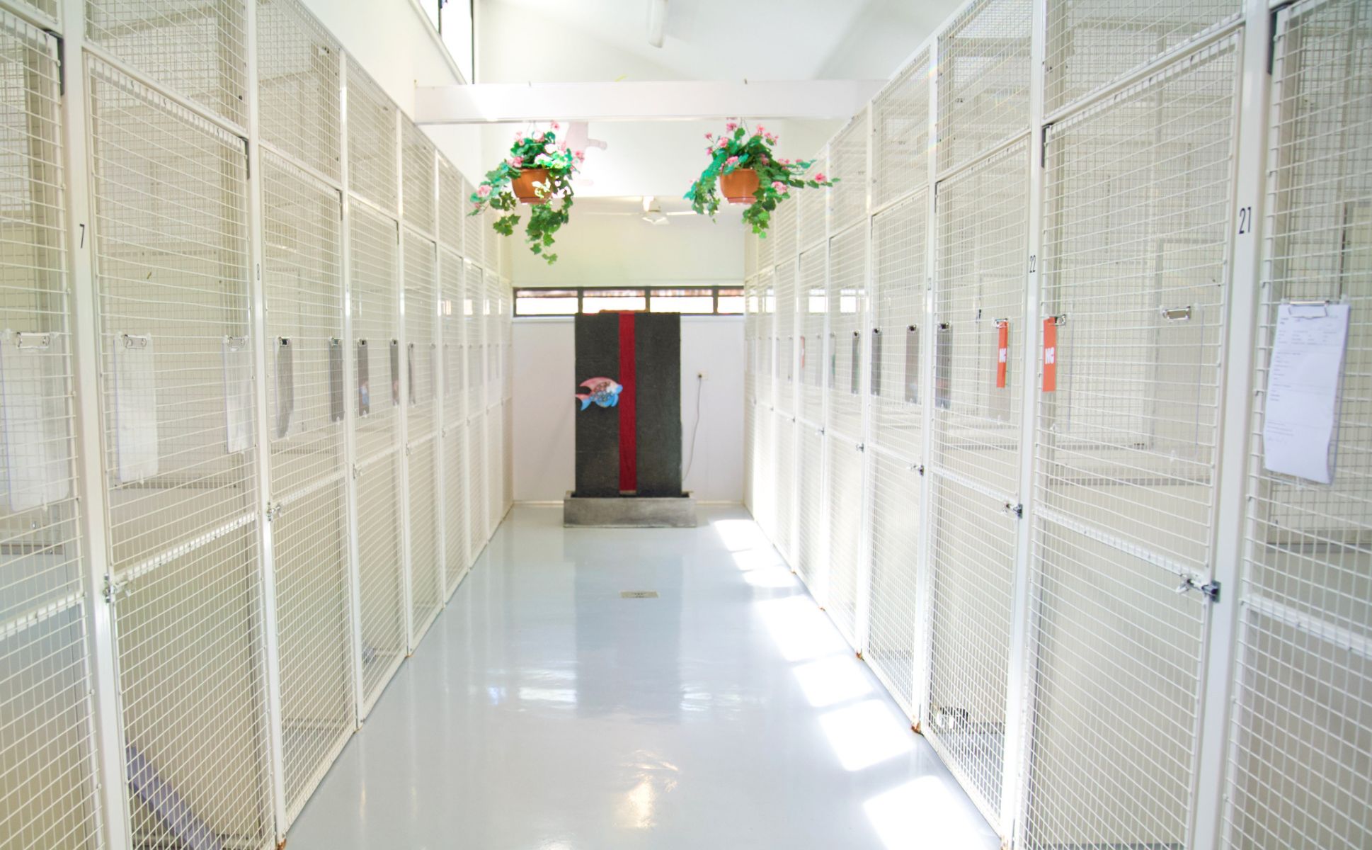 Climate Controlled Cattery