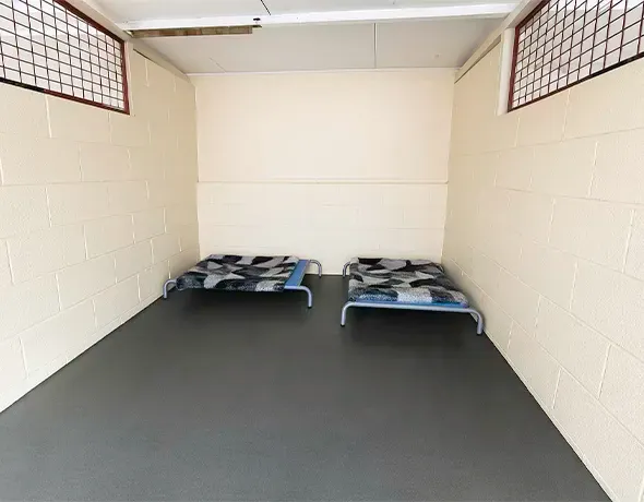 Two dog beds inside the social dog guest room at Welcome Kennels Yarrambat