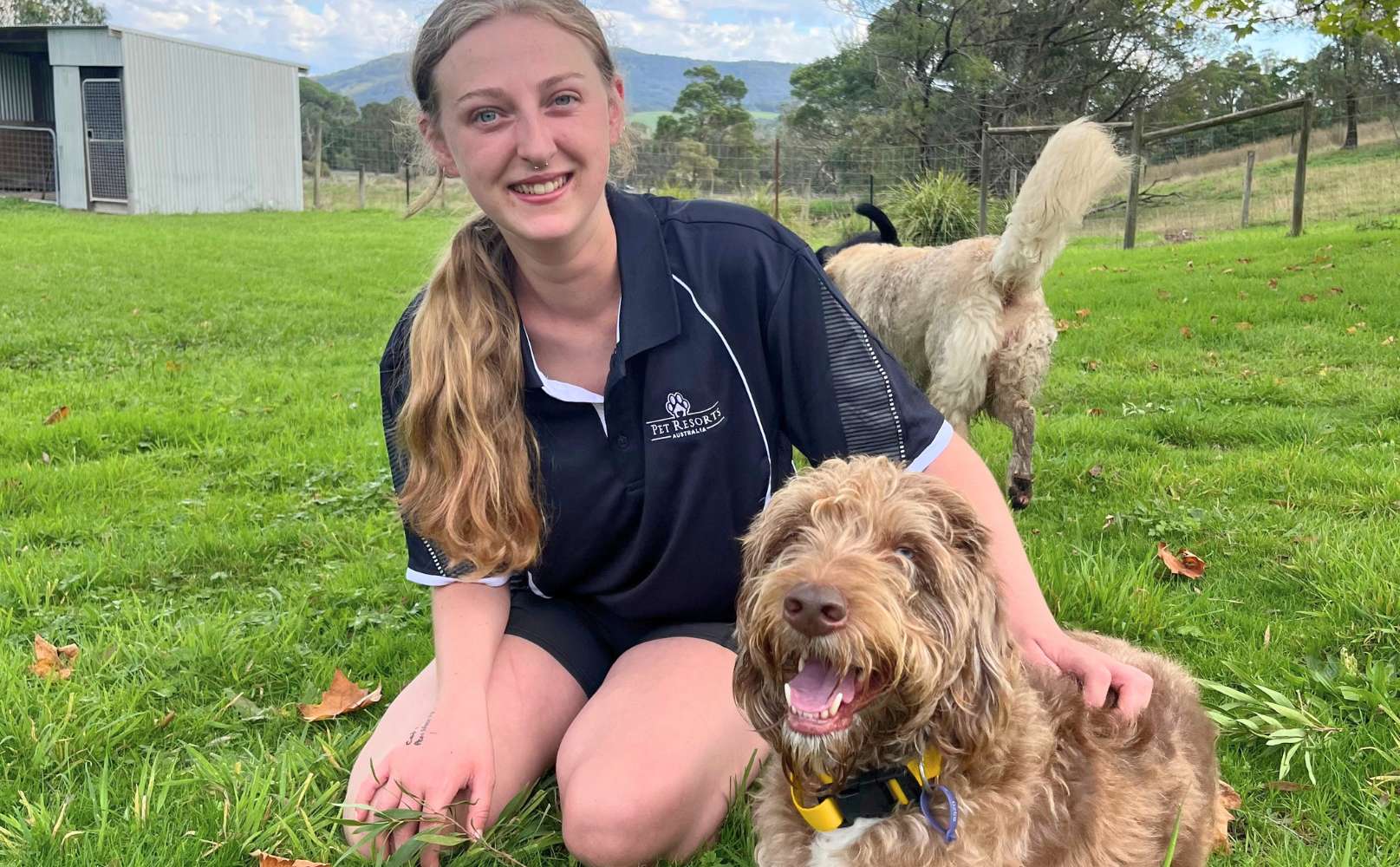 Pet Nanny at Pet Resorts Australia Yarra Valley with happy Oodler