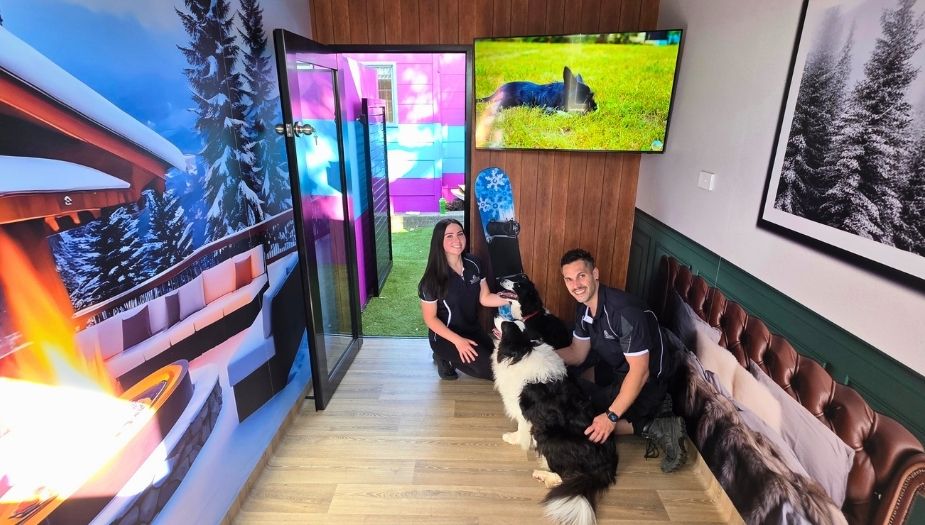 Dog Normal Destination Suite