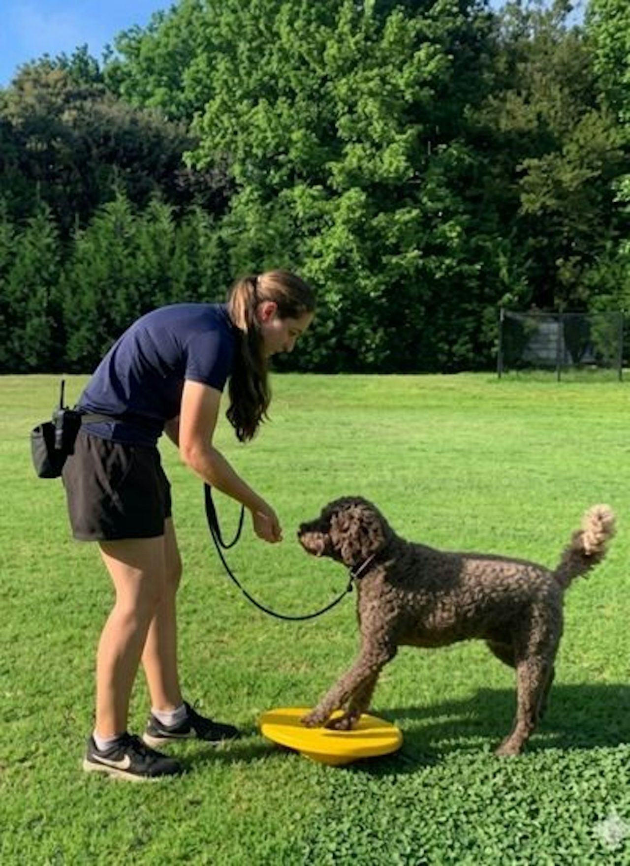 Struggling With Your Dog’s Behaviour? We Have Solutions.
