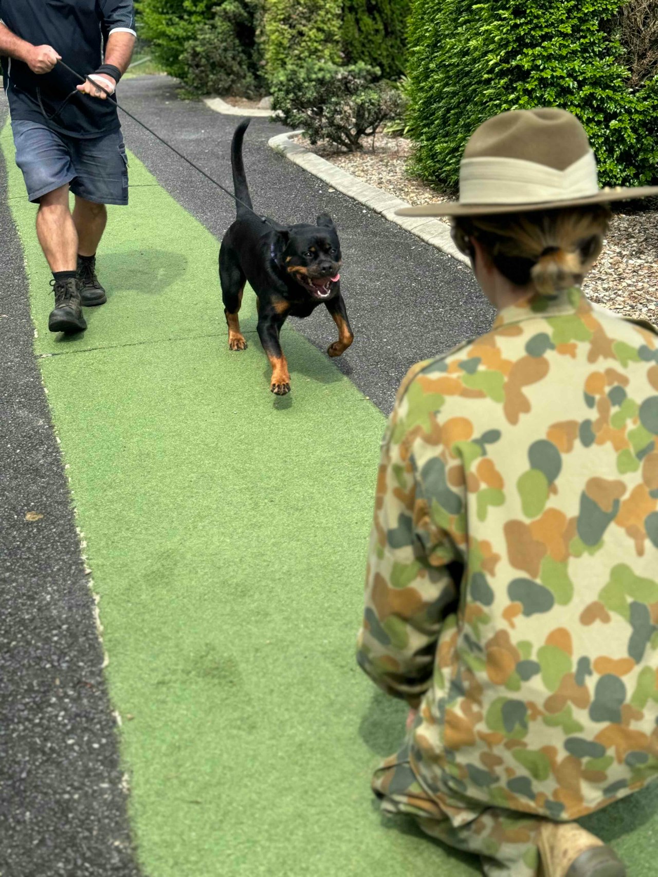 Australian Defence Force pet boarding offer