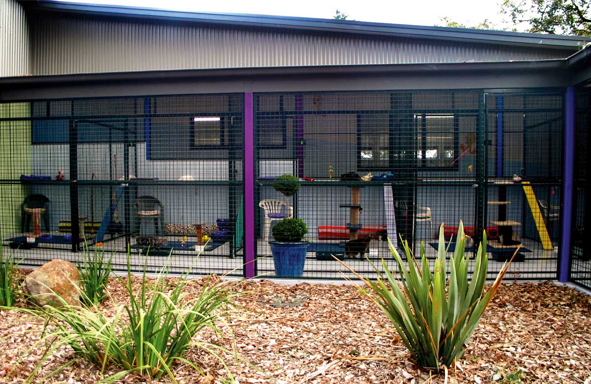 Secure outdoor cat playground and exercise area for boarding cats at Pet Resorts Australia Yarrambat Cattery