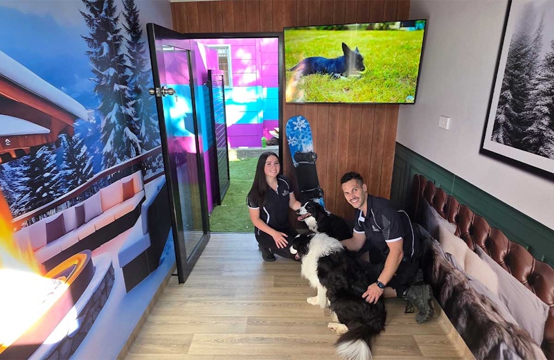 Pet Resorts Australia Yarrambat