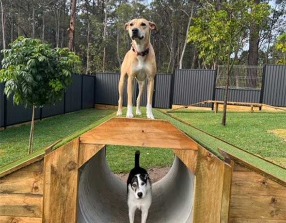 Morning Play