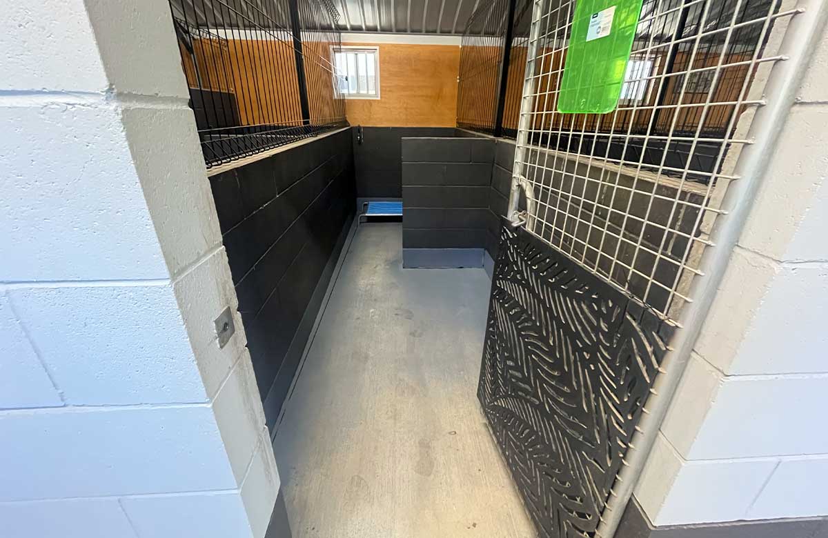 Private Resort Room (Large Dogs)