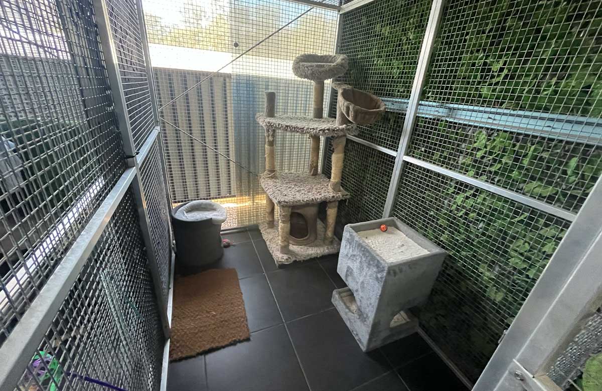 Resort Room