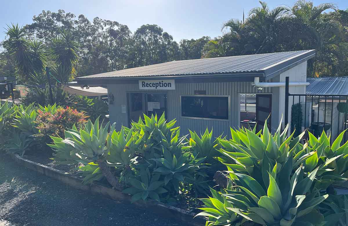 Reception at Pet Resorts Australia Narangba on a sunny day
