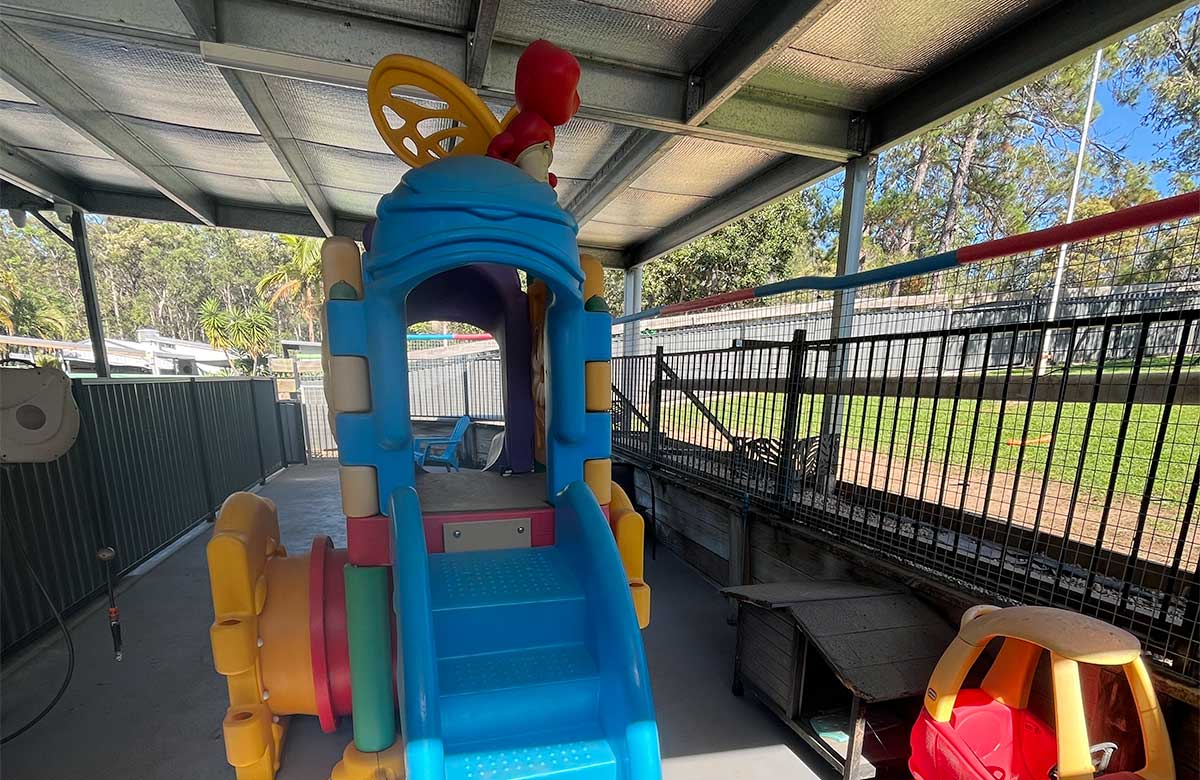 A fun doggy daycare playground in Narangba Pet Resort