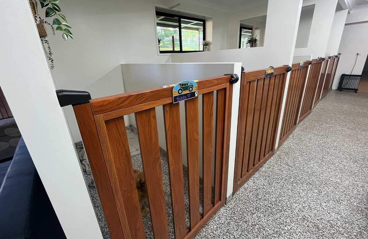 Private Resort Room (Small to Med Dogs)