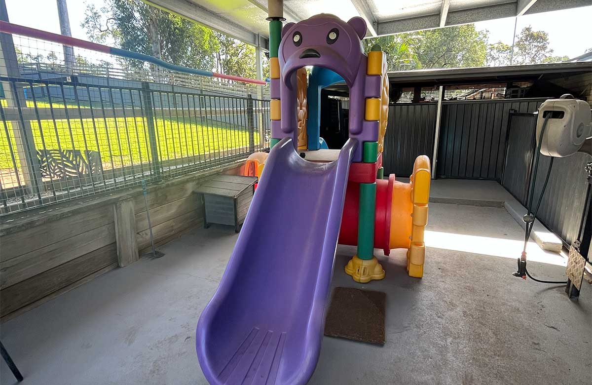 A fun playground toy in the doggy daycare at Narangba Pet Resort