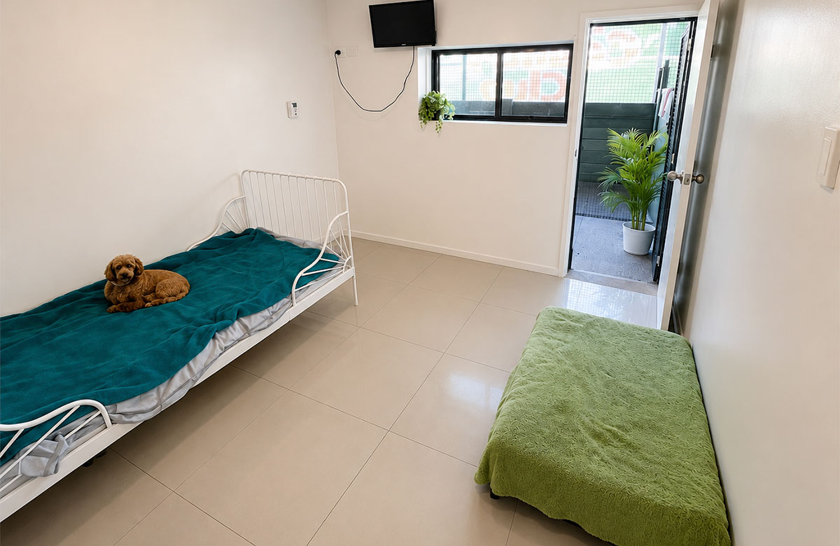 Private Luxury Suite (Med to Small Dogs)