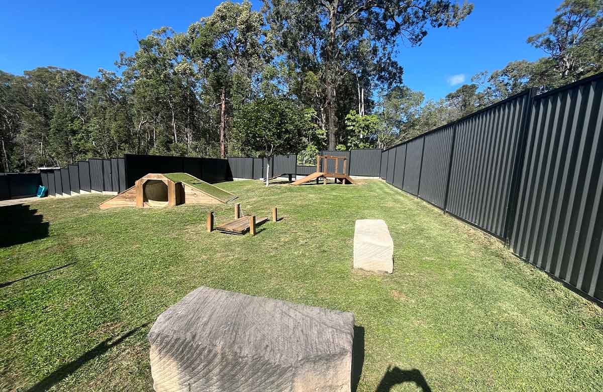 Grassy yard with enriching equipment and obstacle course for dogs to use at Pet Resorts Australia Narangba