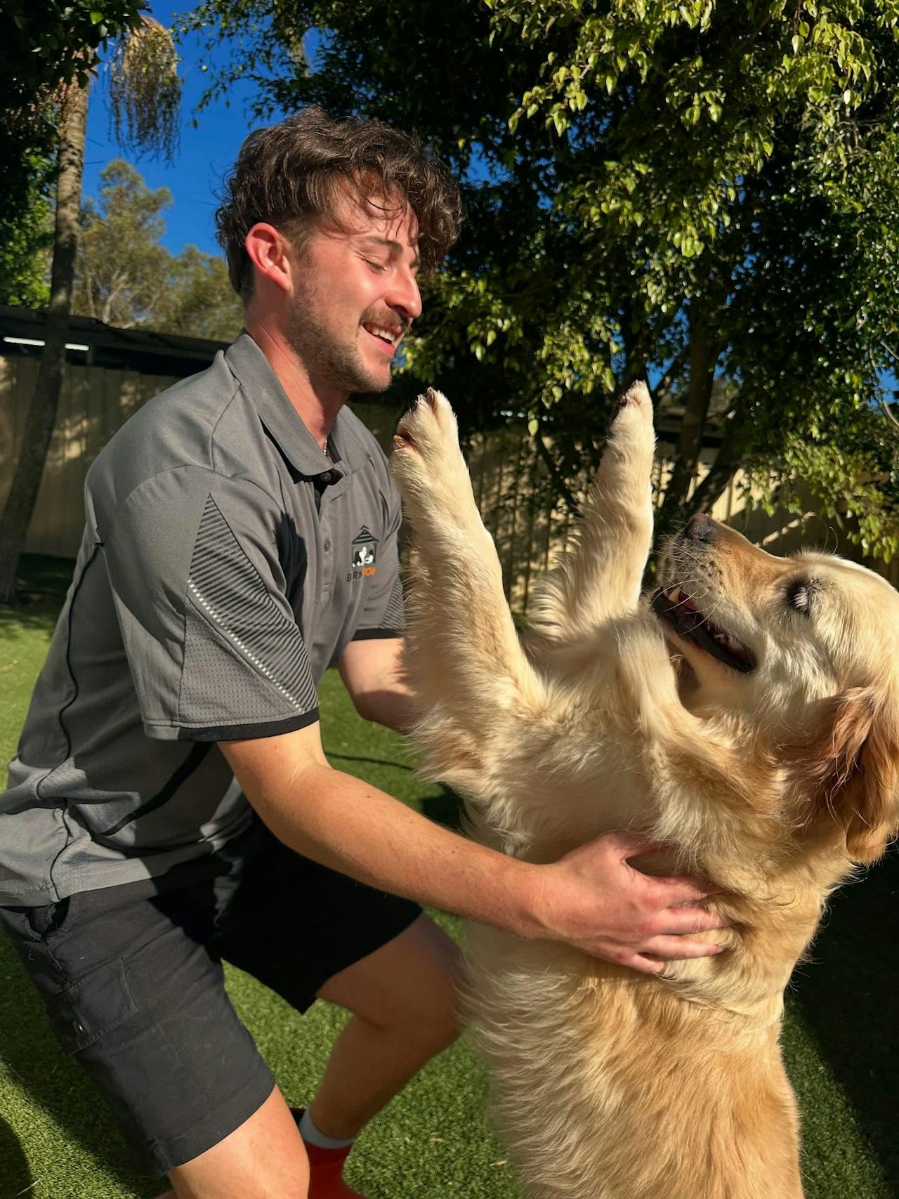 K9 Coach Enrichment Walks