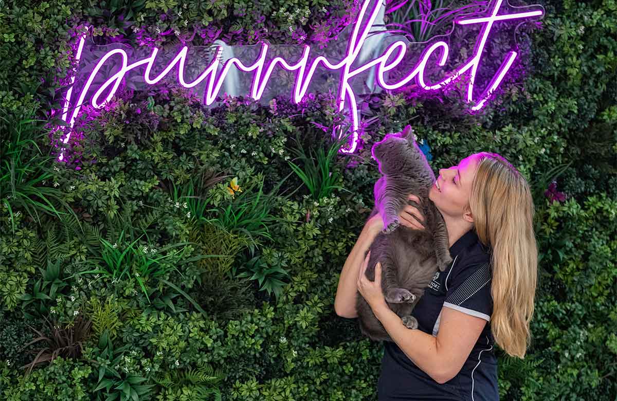 A pet nanny holds a cat below a vibrant sign which says purrrfect at Pet Resorts Australia Cattery