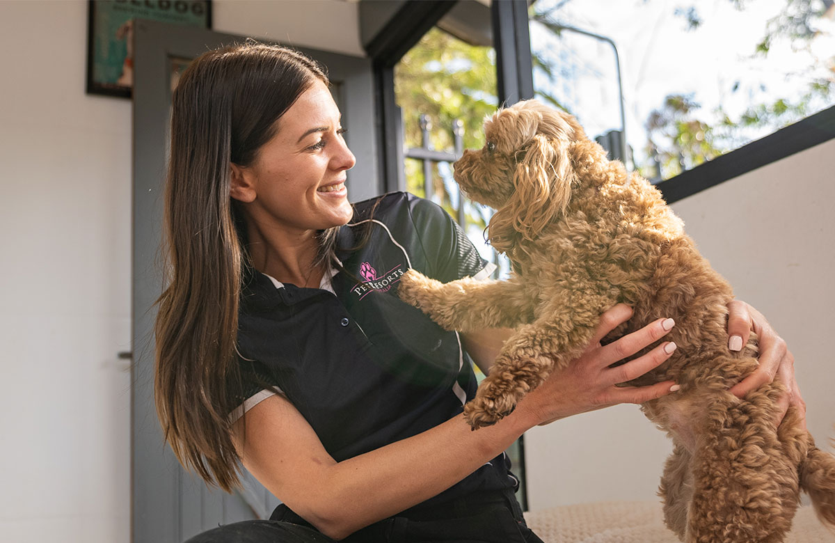 A pet nanny interacts with a dog at the Pet Resorts Australia dog boarding facility