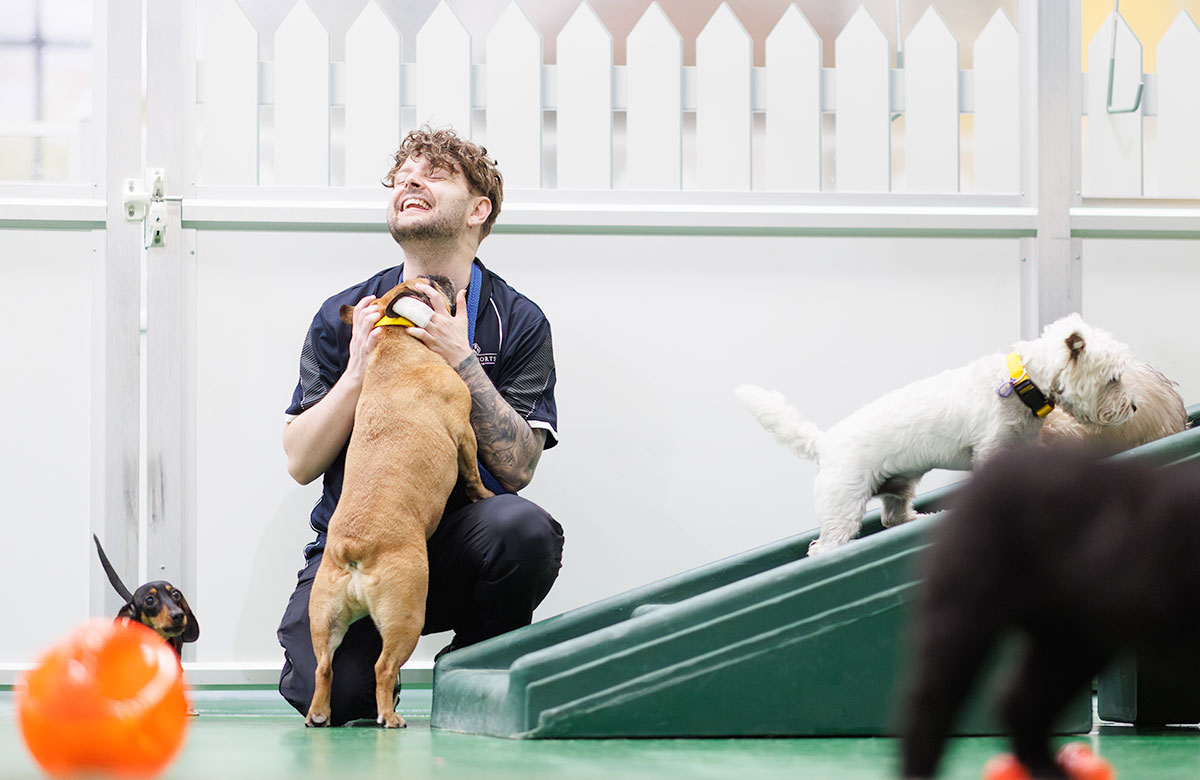 A pet nanny plays with a dog at doggy daycare Pet Resorts Australia