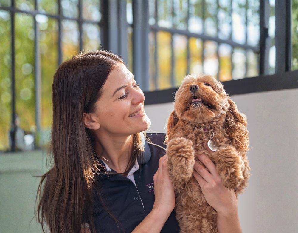 A pet nanny sits on the bed with a happy dog at Pet Resorts Australia Dog Boarding