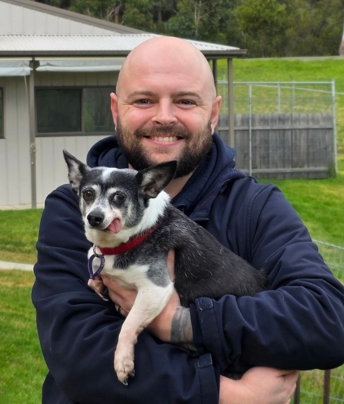 Steve Pet Resorts Australia Yarra Valley Manager holding a cute small dog