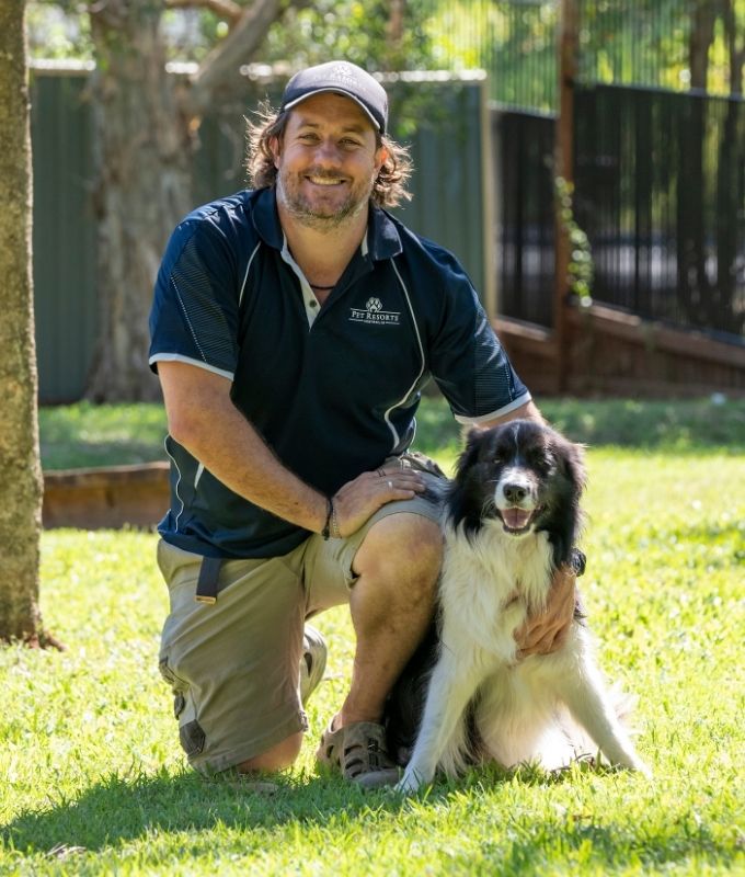Pet Resorts Australia Narangba Manager Simon with happy Border Collie