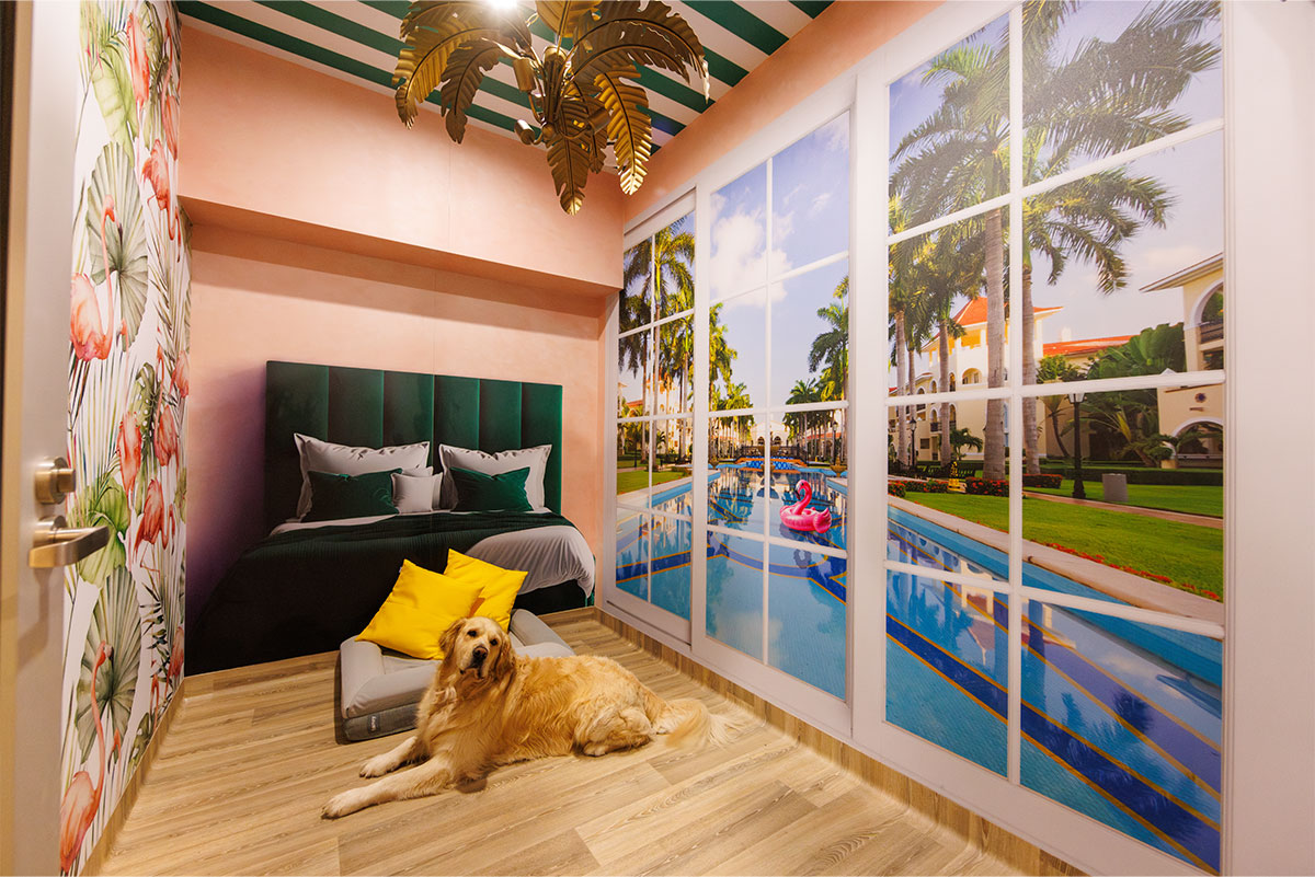 Pet Hotel Care Across Australia