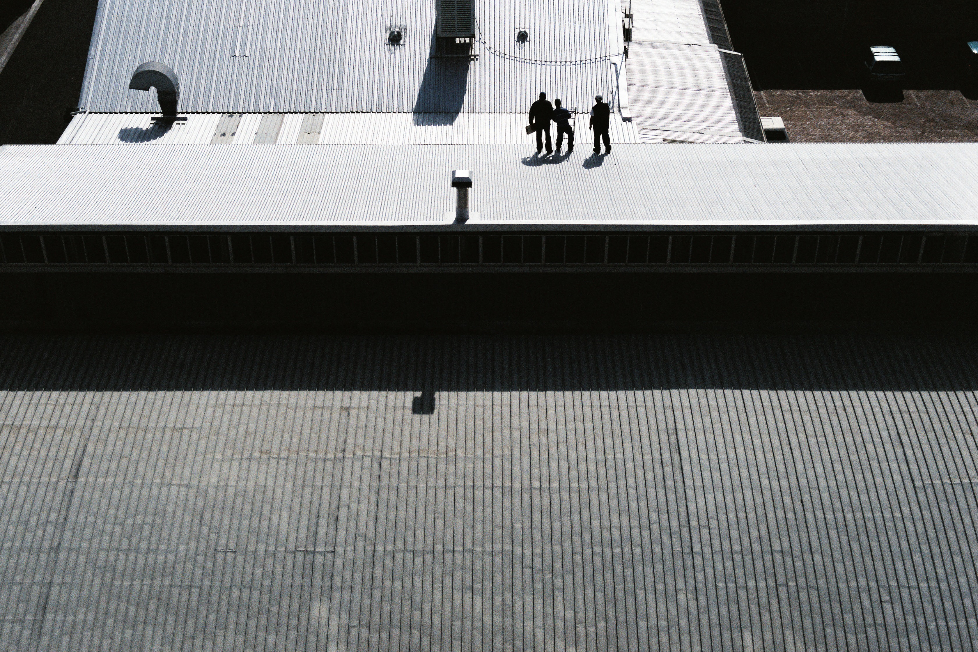 Reputation management | The First Principle