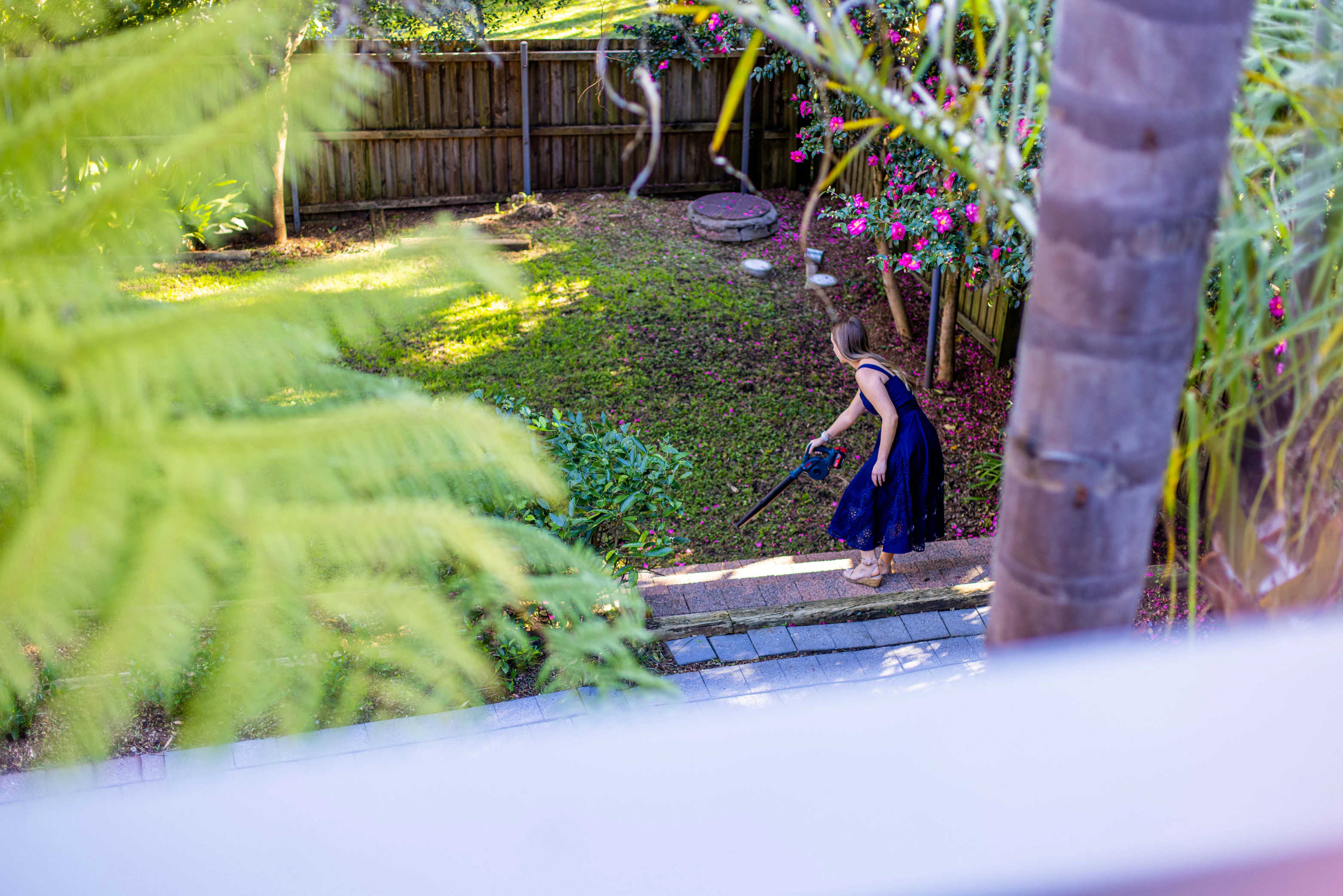 garden
