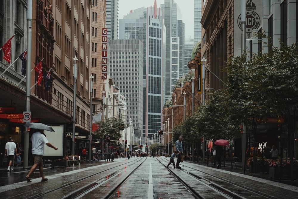 Wading through August: rain, rates and resilient results