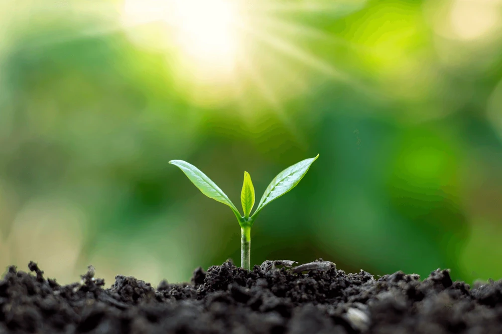 Monthly Market Wrap – August 2022