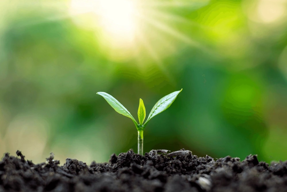 Monthly Market Wrap – August 2022