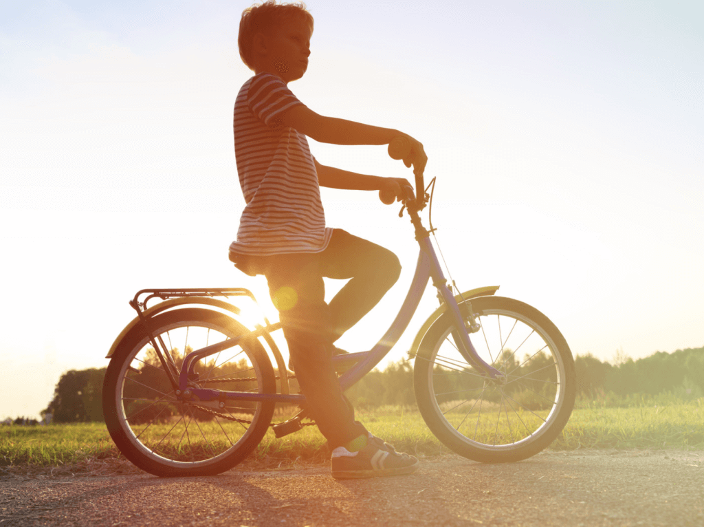 AUGUST - MARKET REPORT