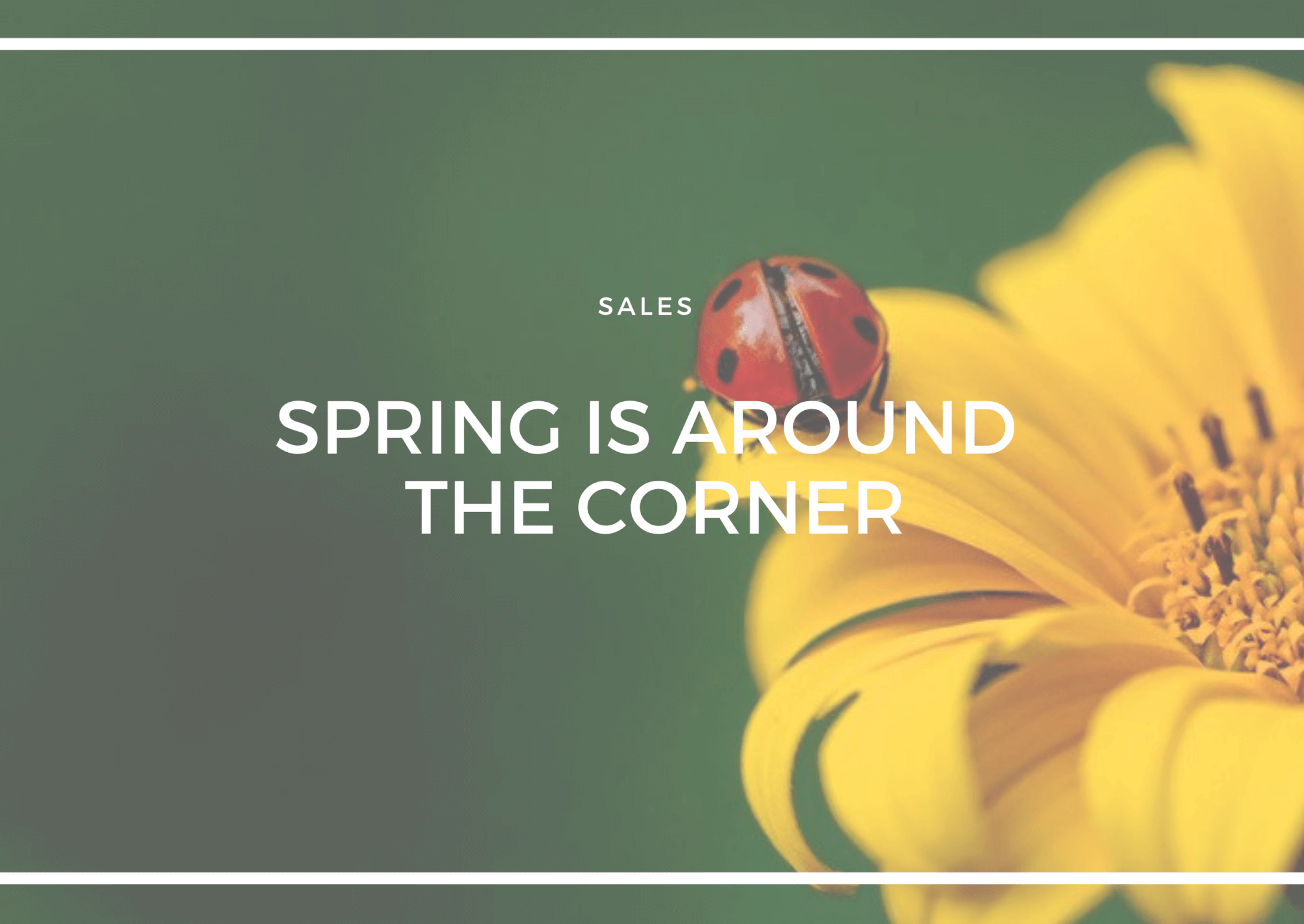 GETTING YOUR HOME IN TIP TOP SHAPE FOR THE SPRING SALES PERIOD