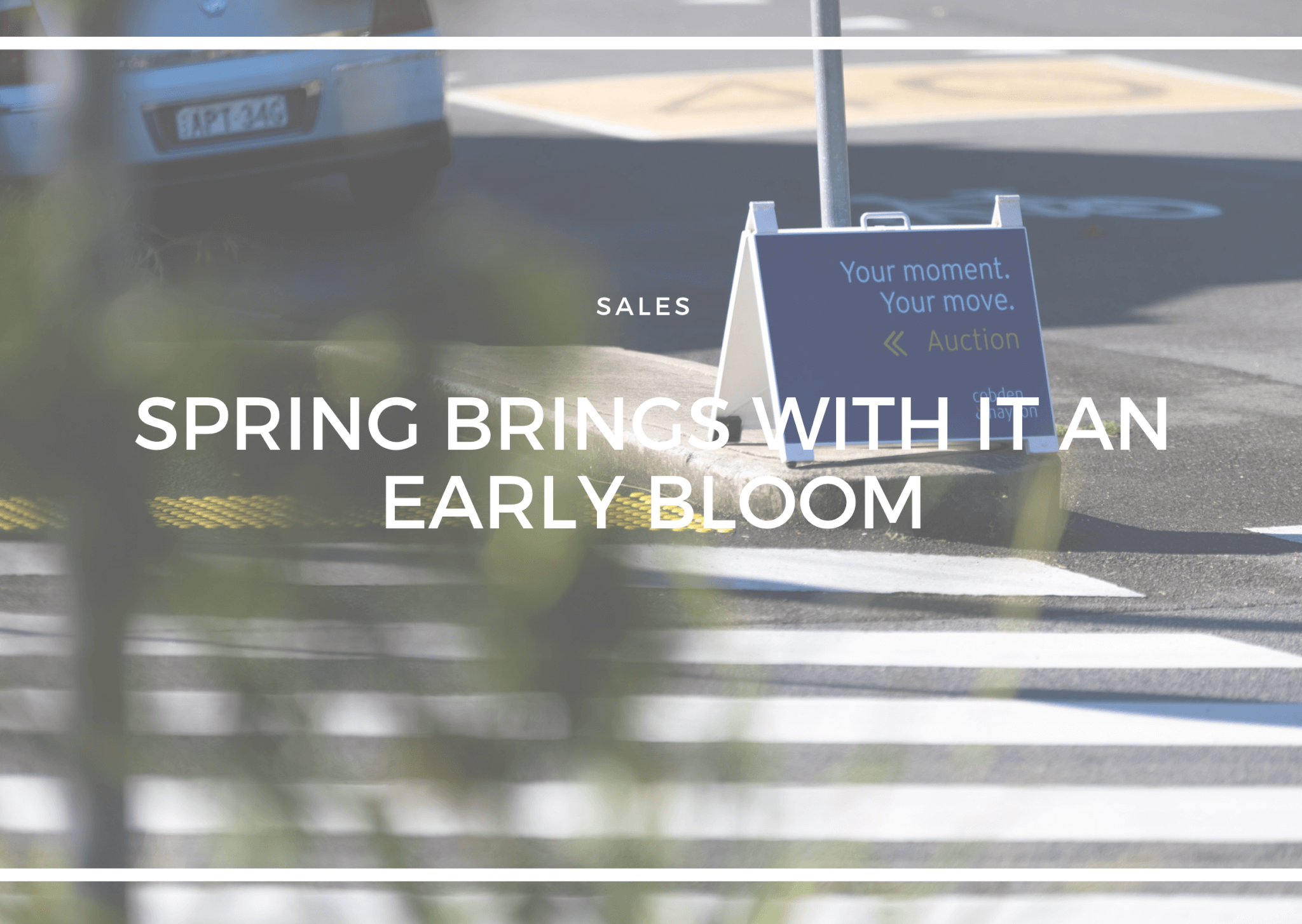 SPRING BRINGS WITH IT AN EARLY BLOOM