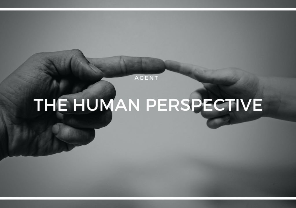 THE HUMAN PERSPECTIVE