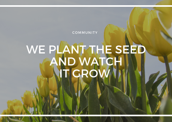 WE PLANT THE SEED AND WATCH IT GROW.